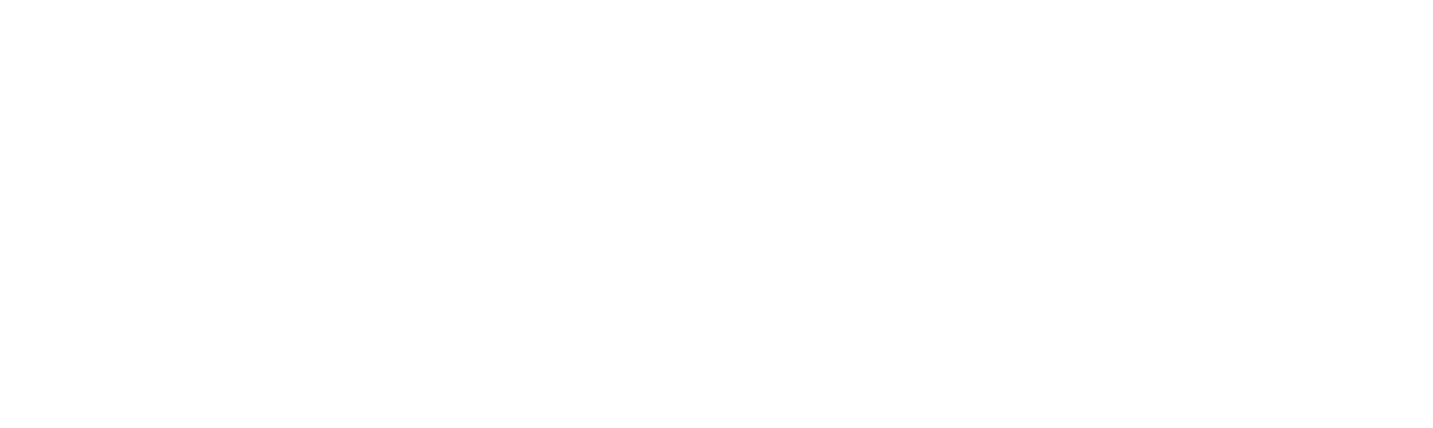 FALCON Boise Web Design Agency