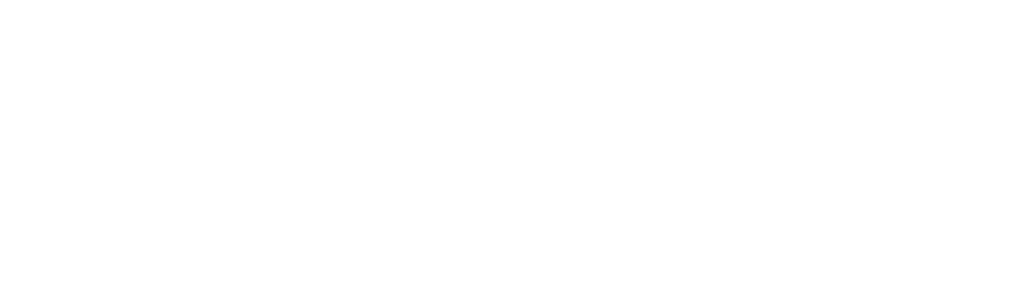 FALCON Boise Web Design Agency